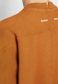 Brown sweatshirt with a crew neck and visible stitching details. Features the text "Proenza" and "Schouler" in white on the back.