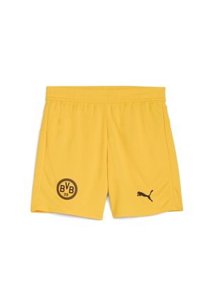 BORUSSIA DORTMUND  - Klubbkläder - yellow sizzle