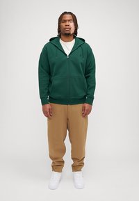 Polo Ralph Lauren Big & Tall DOUBLE-KNIT FULL-ZIP HOODIE - Jaka ar rāvējslēdzēju - vintage pine