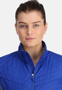 Giacca isolata blu con colletto alto e chiusura con zip. Presenta una texture trapuntata e accenti grigi a contrasto sulle spalle.