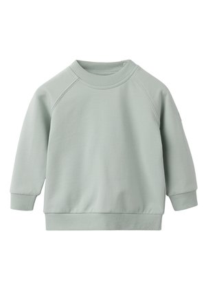 EVERYDAY COMFY  - Sweatshirt - sage green