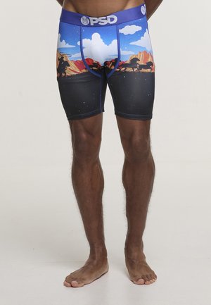 ACE HIGH - Bokserbriefs - multicolor