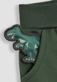 Zielone bawełniane spodenki z teksturowaną łatką dinozaura na kieszeni, z precyzyjnym haftem i kontrastującym konturem.