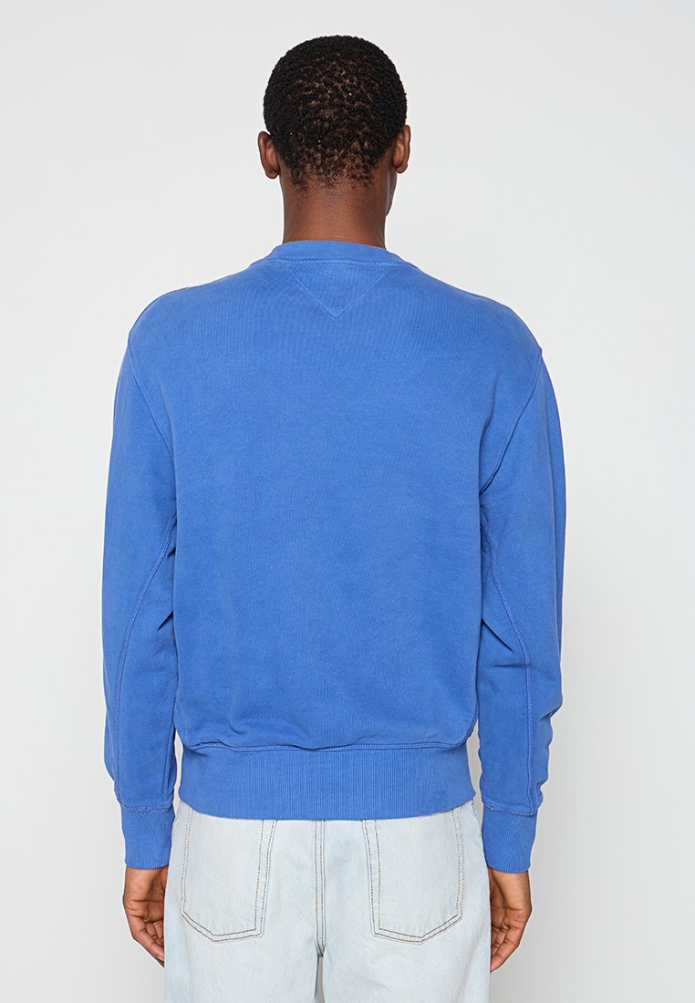 Niebieska bluza z miękkiej bawełny, z okrągłym dekoltem, długimi rękawami oraz ściągaczami przy mankietach i dolnym brzegu. Gładka faktura z subtelnymi detalami szwów.