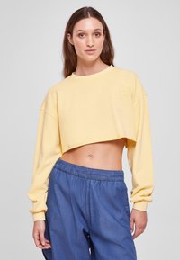 Urban Classics CROPPED FLOWER EMBROIDERY TERRY CREW - Mikina - vintagesun