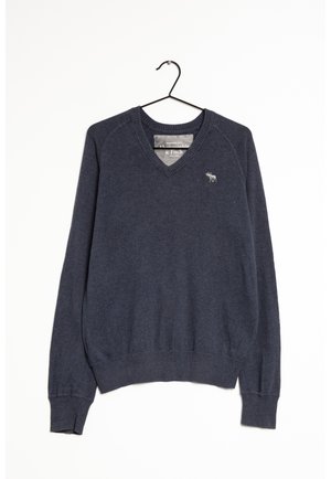 Abercrombie & Fitch Jumper - blue