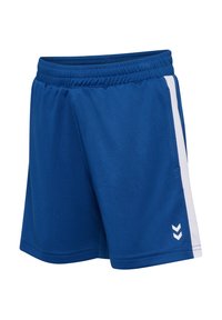 Shorts de sport bleus avec des bandes blanches sur les côtés et une taille élastique, présentant un petit logo chevron blanc sur la partie avant de la jambe gauche.
