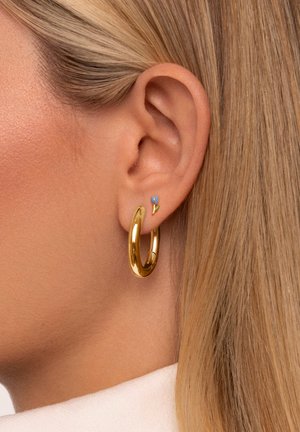 Orecchino a cerchio dorato con una superficie liscia e lucida, impreziosito da un piccolo fiore blu con un gambo verde.