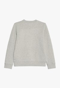 Sweatshirt grigio chiaro con maniche lunghe, colletto rotondo e polsini e orlo a coste. Realizzato in morbido tessuto misto cotone. Senza motivi o loghi.