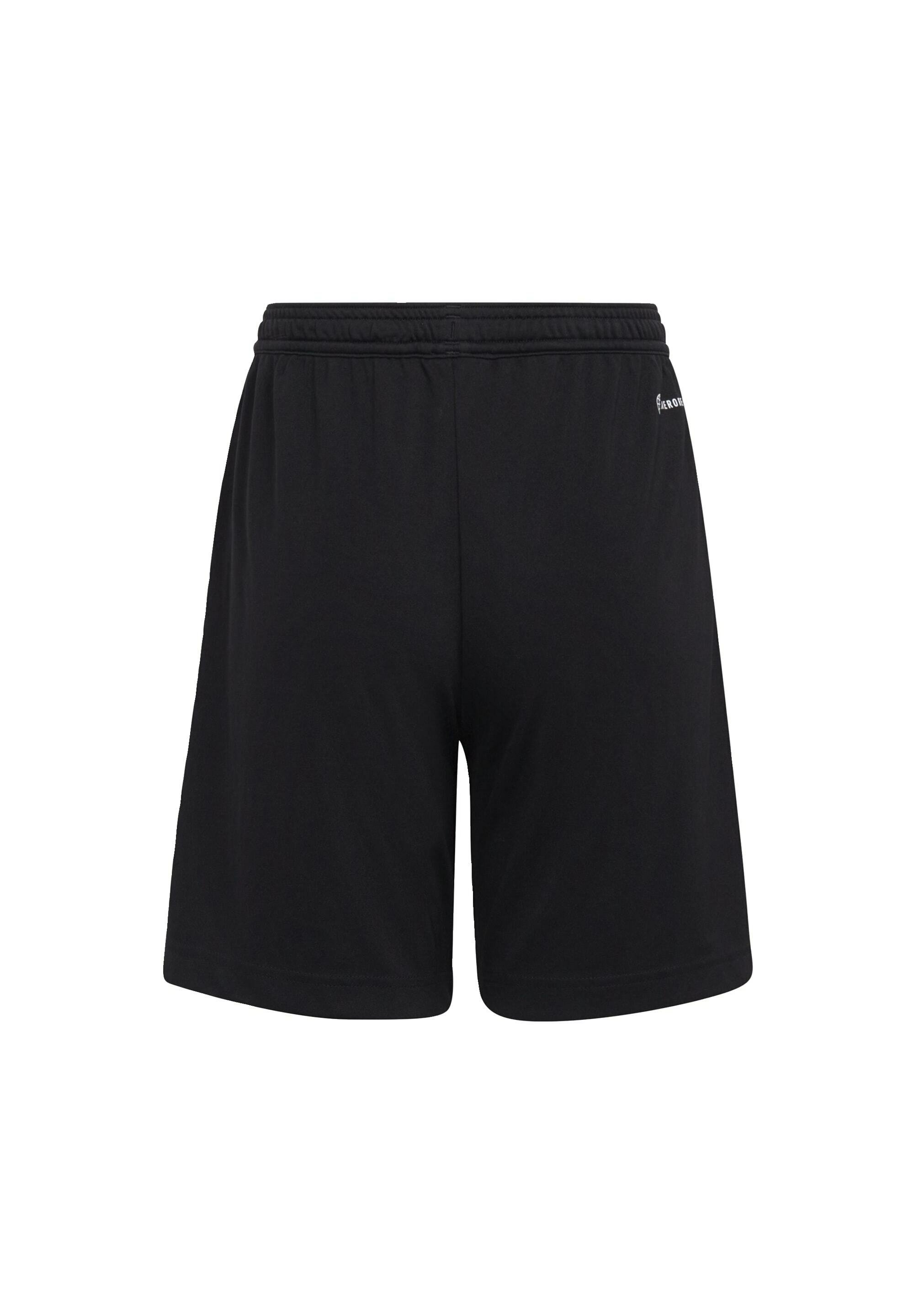 adidas Performance ENTRADA - Pantaloncini sportivi - black/nero - Zalando.it