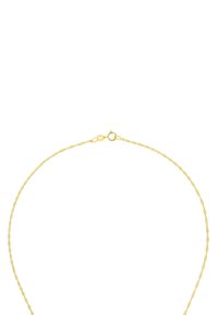 Collana in oro delicata con catena a corda e chiusura a molla su sfondo bianco.