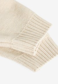 Next CHRISTMAS CREW NECK - REGULAR FIT - Džemperis - neutral characters