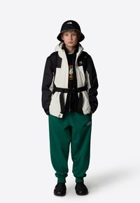 The North Face ANTORA TRICLIMATE - Outdoorjacka - white dune