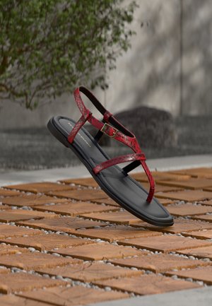 Sandalia plana negra con tiras de estampado de serpiente en rojo y una pequeña hebilla dorada, exhibida al aire libre sobre baldosas de madera con vegetación de fondo.