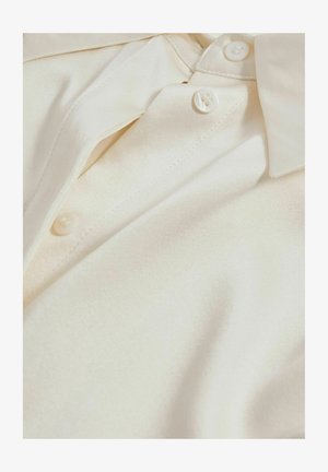 Kerman silkkipaita klassisella kauluksella, jossa on napitus ja sileä, kiiltävä pinta hienovaraisella kiillolla.