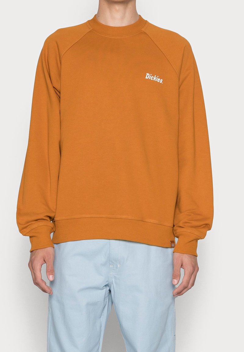 Sudadera de algodón naranja con cuello y puños acanalados. Presenta el logo "Dickies" en blanco en el pecho, corte relajado y mangas raglán.