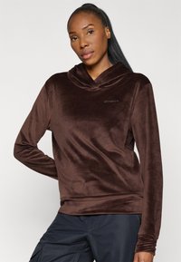 Brauner Samt-Hoodie mit einem Schalkragen, langen Ärmeln und einem dezenten Logo auf der Brust. Weicher Stoff und lockere Passform.