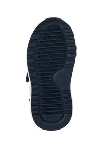 Geox ALBEN  - Scarpe primi passi - navy red