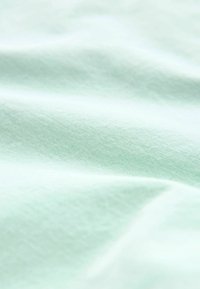 Material textil verde deschis cu o textură netedă, având cute subtile și un model de țesătură fin. Material moale și ușor.
