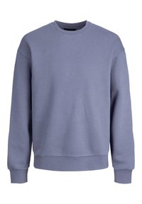 Felpa azzurra chiara realizzata in tessuto morbido. Presenta un collo rotondo, maniche lunghe e polsini e orlo a costine. Design semplice, senza decorazioni.