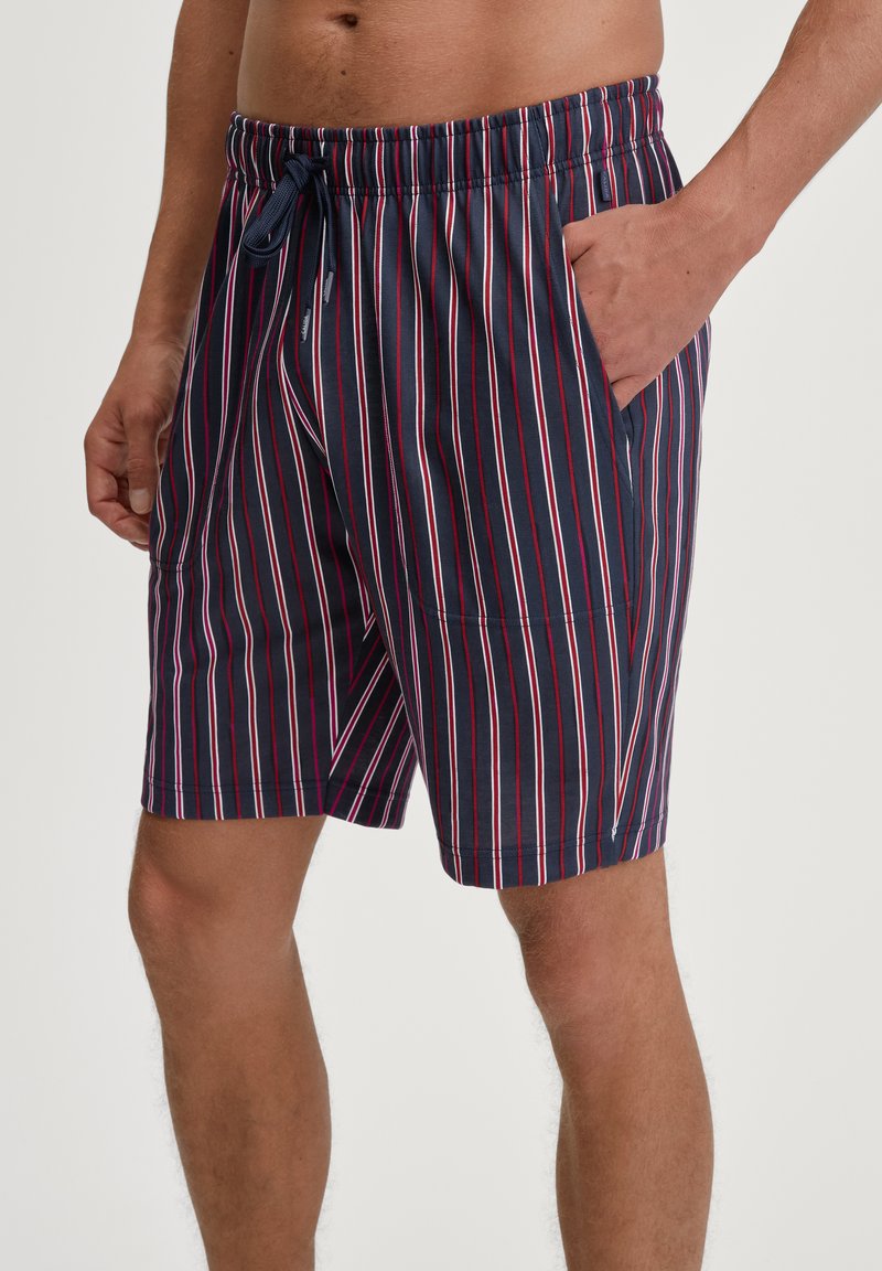 Gestreepte zwemboxers in marineblauw met rode en witte lijnen, met een elastische tailleband, een koord en een zijvak. Gemaakt van lichtgewicht materiaal.
