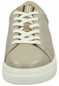 camel active Sneaker low - light taupe
