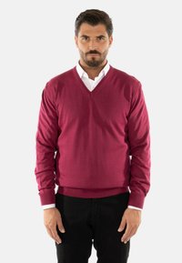 Maglione a V, lavorato a maglia in un profondo bordeaux, con polsini e orlo a costine, indossato sopra una camicia bianca con colletto, abbinato a pantaloni neri.