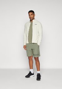 Björn Borg FULL ZIP - Jakna iz flisa - silver birch