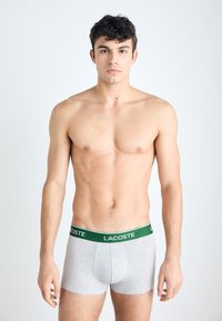 Γκρι βαμβακερά σλιπ με πράσινη ζώνη που φέρει το λογότυπο Lacoste, φορεμένα από έναν όρθιο ανδρικό μοντέλο μπροστά σε άσπρο φόντο.