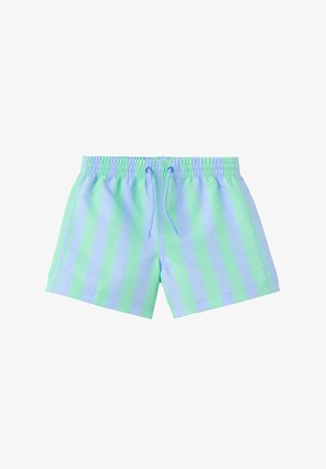 Costume da bagno corto a righe verticali blu e verdi con vita elastica e laccio frontale su sfondo bianco.