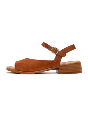 Brązowa zamszowa sandała z odsłoniętymi palcami, regulowanym paskiem wokół kostki i niskim, nawarstwionym drewnianym obcasem na białym tle.
