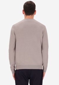 Maglione grigio chiaro a maniche lunghe con scollatura e orlo a coste, texture liscia e vestibilità regolare, visto da dietro.