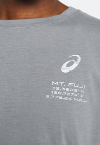 Harmaa puuvillapaita, jossa on pyöreä kaula-aukko ja etupuolella valkoisella painettuna teksti "MT. FUJI" sekä maantieteelliset koordinaatit.