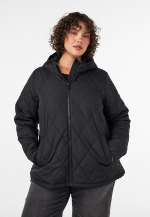 Zizzi, LEICHT WATTIERTE JACKE MIT RAUTENSTEPPUNG - Chaqueta de invierno - schwarz