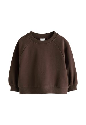 Dark brown long-sleeve crew neck sweatshirt with ribbed cuffs and hem, displayed on a white background.