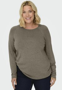 Pull à manches longues, vert olive, avec un col rond et des manches raglan, présentant une texture douce et une coupe décontractée.