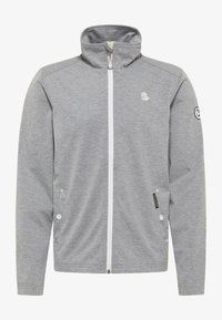 Neselectat, grau melange hellgrün