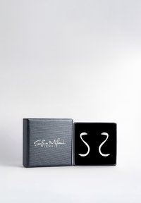 Silverörhängen formade som S-kurvor, visade i en svart sammetsklädd låda med en texturerad svart utsida och vit logotyp på locket.