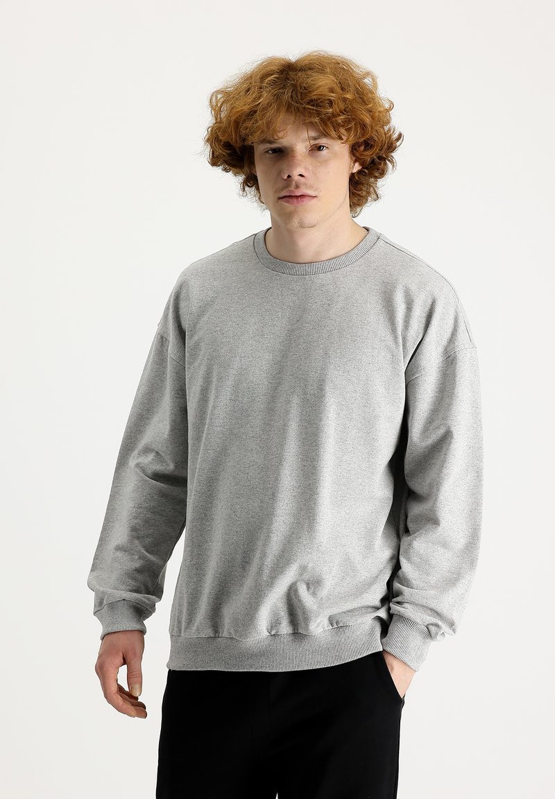 Sudadera gris claro hecha de una tela suave, con cuello redondo, mangas largas y puños acanalados, con un corte relajado y un diseño minimalista.