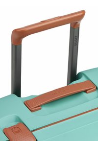 Delsey Paris MONCEY 4-ROLLEN - Trolley - mandel