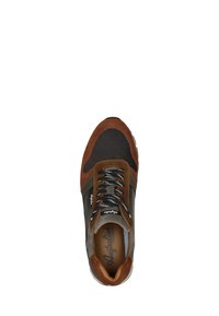 Australian Sneakers laag - middel bruin
