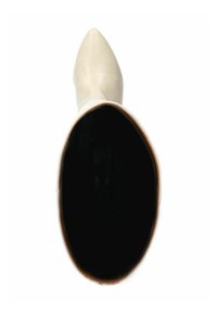 Witte laars met spitse neus, afgewerkt met een gladde leren afwerking en een zwarte binnenkant, met een slanke silhouet en minimalistisch design.