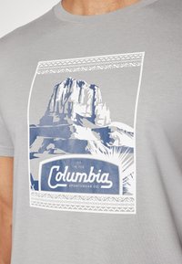 Columbia CSC™ SEASONAL LOGO TEE - Apdrukāts T-krekls - grey heather