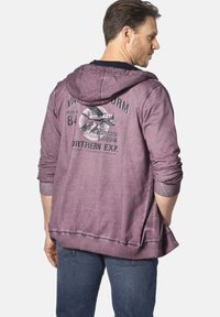 Purple hoodie with a graphic print featuring an airplane on the back. Fabric has a soft texture, with ribbed cuffs and a relaxed fit.