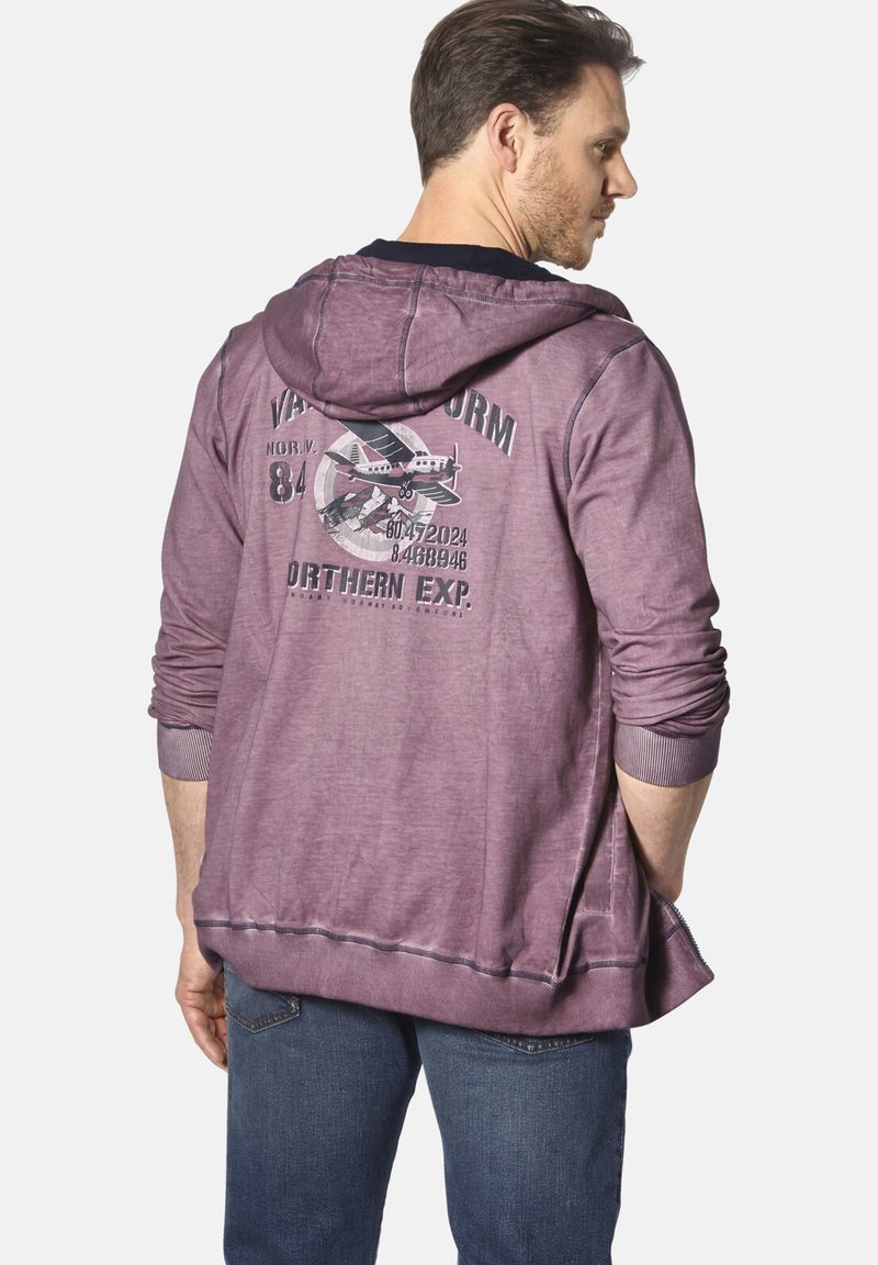 Purple hoodie with a graphic print featuring an airplane on the back. Fabric has a soft texture, with ribbed cuffs and a relaxed fit.