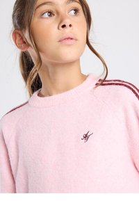 Hellrosa Pullover mit weicher Textur, geripptem Ausschnitt und dunkelroten Streifen an den Ärmeln. Mit kleinem gesticktem Logo auf der Brust.