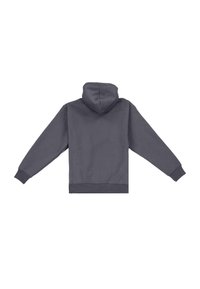 Dropsize Majica s kapuljačom i patentnim zatvaračem - steel grey