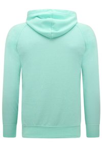 Mintgroene hoodie met een trekkoord in de capuchon, ribgebreide manchetten en zoom, met een gladde textuur en een eenvoudig, schoon ontwerp.