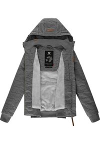 Ragwear NUGGIE ZIG ZAG INTL - Vinterjakke - grey