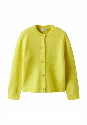 REGULAR FIT - Adīta jaka - yellow plum